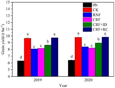 One-time fertilization of controlled-release urea with compound fertilizer and rapeseed cake maintains rice grain yield and improves nitrogen use efficiency under reduced nitrogen conditions